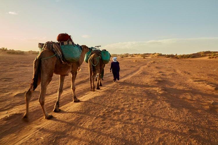 Sahara Camp Otel Adrouine Dış mekan fotoğraf